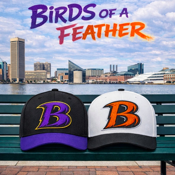 Birds of a Feather